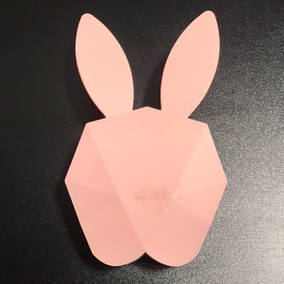 Pottery Barn Teen Other - Pottery barn mock up bunny alarm clock case.